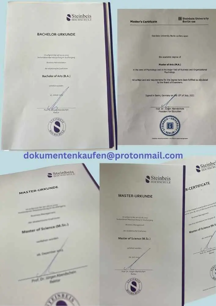 Steinbeis Hochschule Urkunde